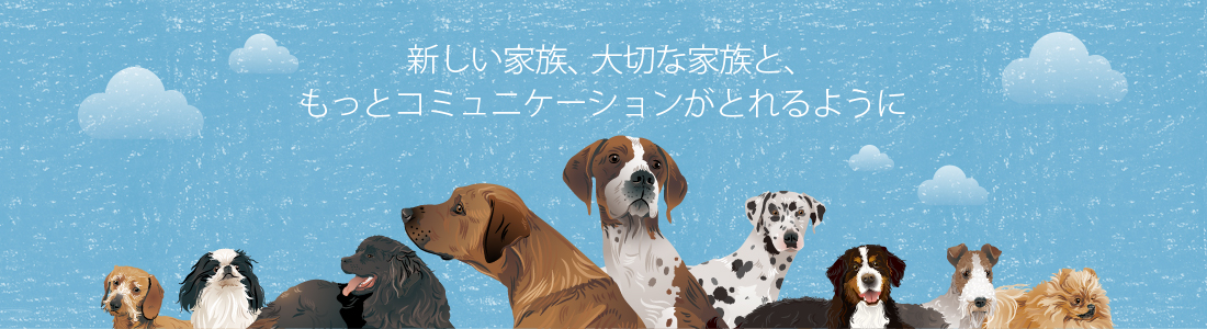新しい家族、大切な家族と、もっとコミュニケーションが取れるように