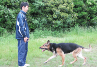 訓練